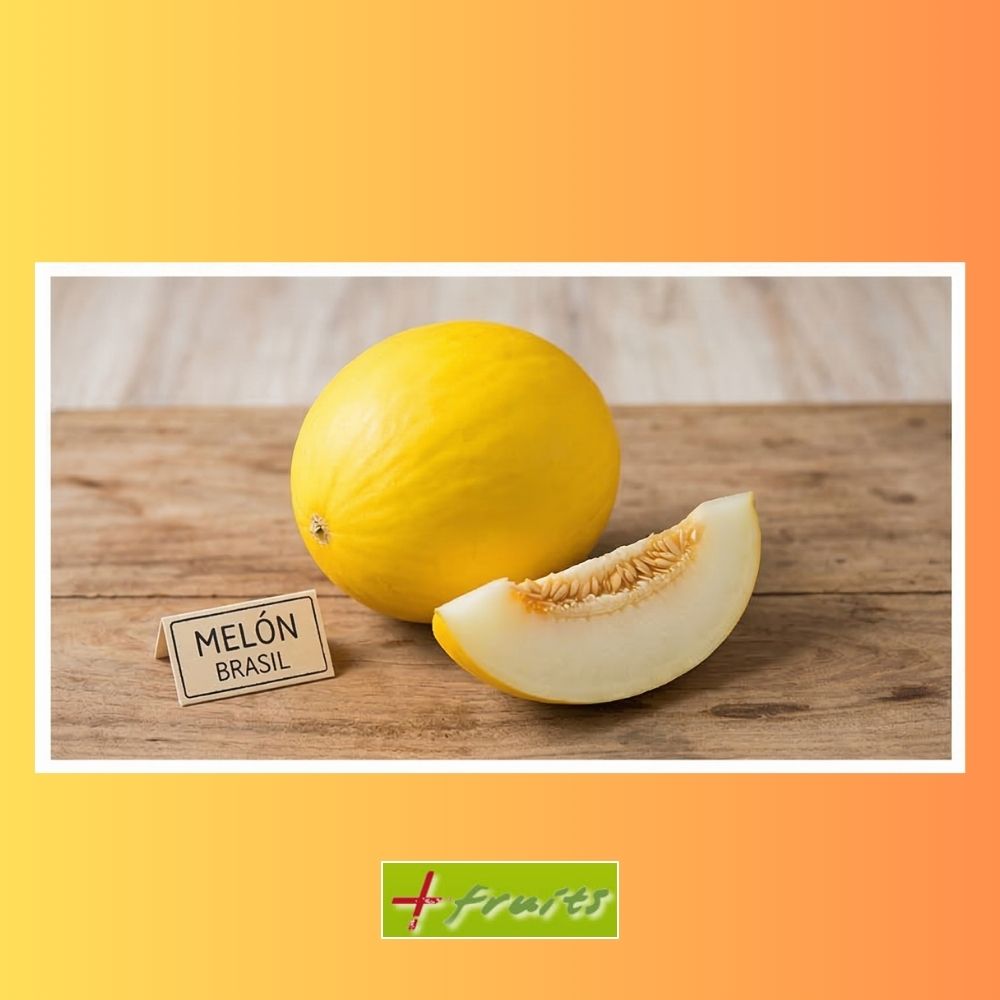 MELON - 1 kg