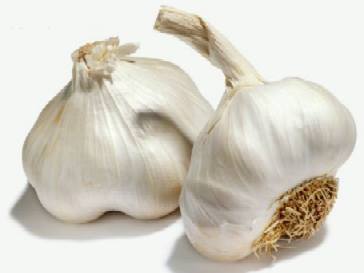 ajo