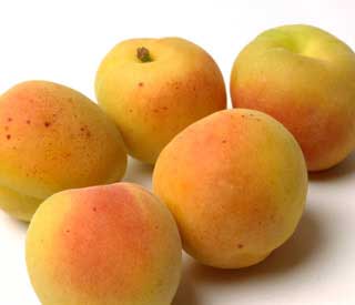 albaricoque