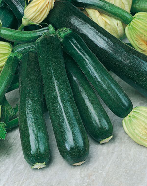 calabacin