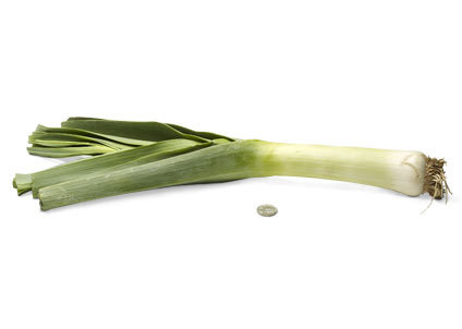 calcot