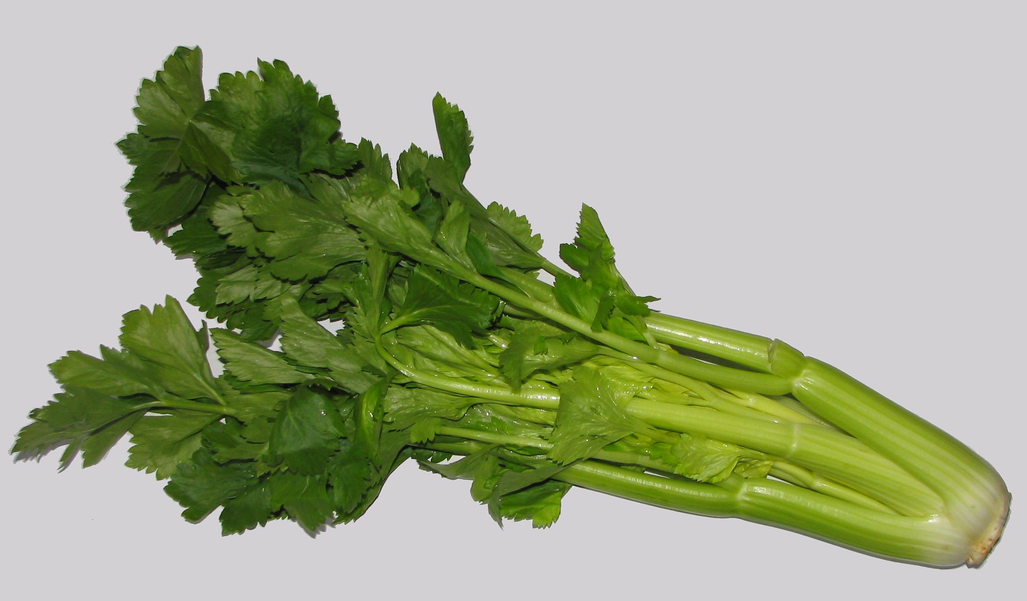 celeri