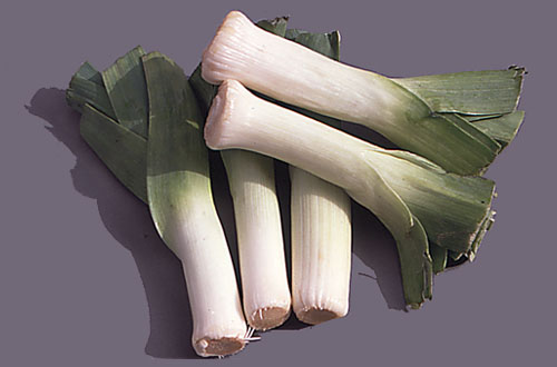 puerro