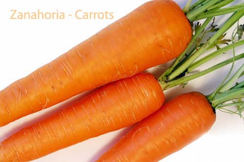 zanahoria